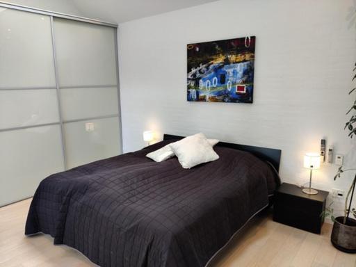 Vaerelser I Midtbyen - 117 M2 Apartment Herning Buitenkant foto